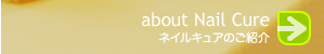 �l�C���@�L���A